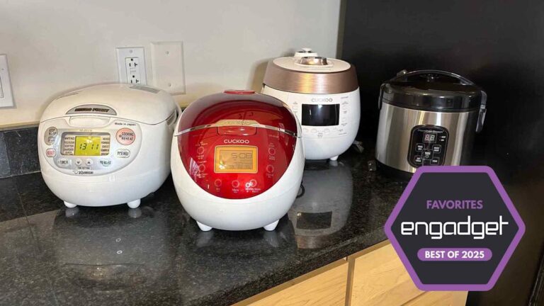 The best rice cooker for 2025
