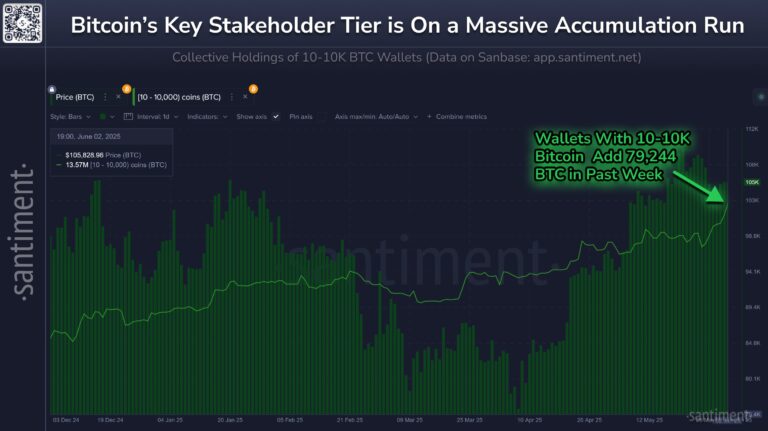 Bitcoin’s Key Investors Double Down, Buy Another 79,000 BTC