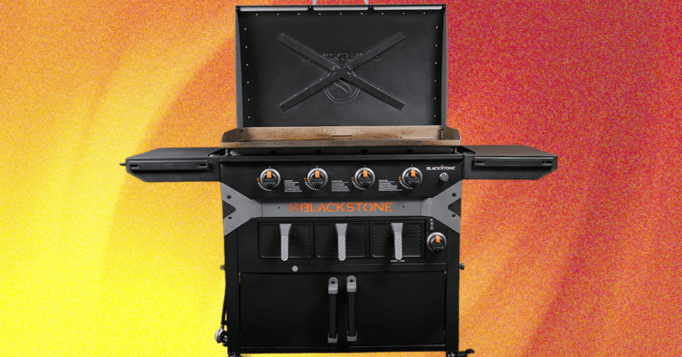 Blackstone Griddle Air Fryer Combo Review: Silly, but Nice