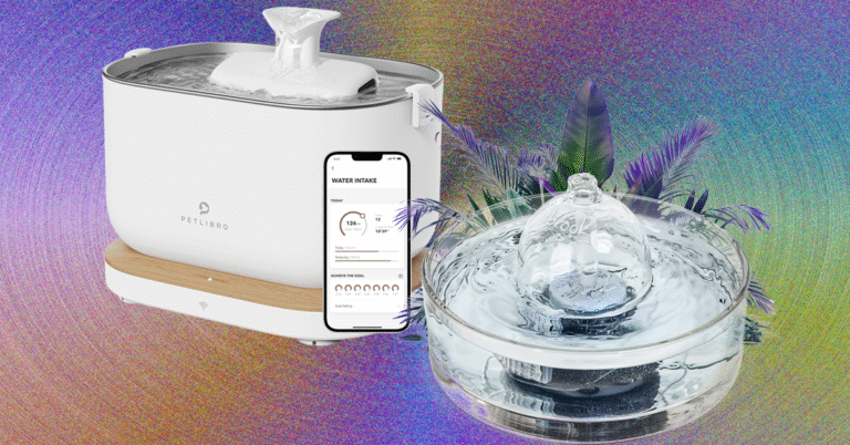 9 Best Cat Water Fountains, WIRED Tested and Reviewed (2025)