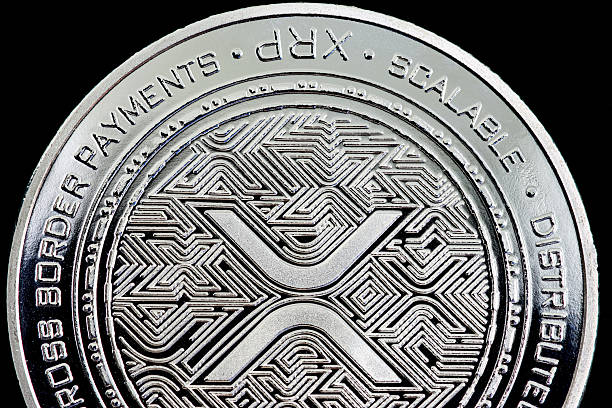 Will Elon Musk Pick XRP Over Dogecoin For X Payments? Market Expert Answers