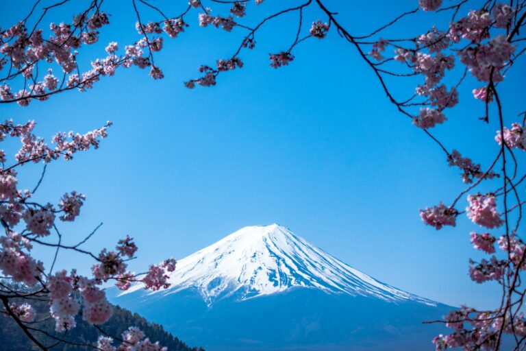 Ripple And Japan’s Web3 Salon Spark Asia Innovation