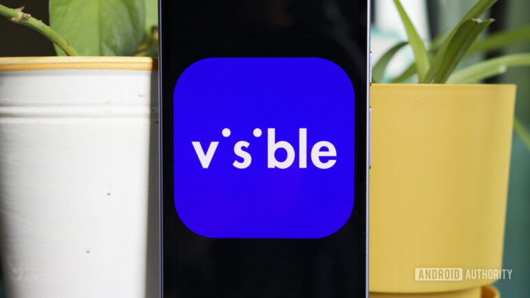 I love Visible, but I wish I knew one thing before I joined