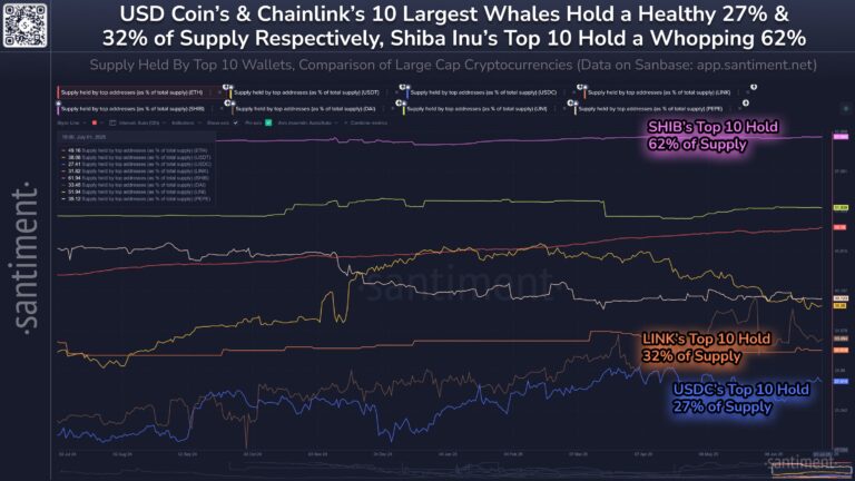 Shiba Inu Supply Most Centralized Among Top Coins—62% Held By Just 10 Whales