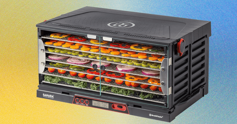 5 Best Food Dehydrators, Tested and Reviewed (2025)
