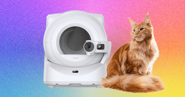 The Petkit Purobox Ultra is $250 off for Prime Day
